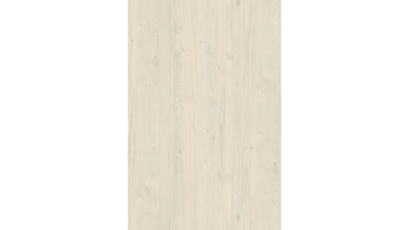 White Coastland Oak