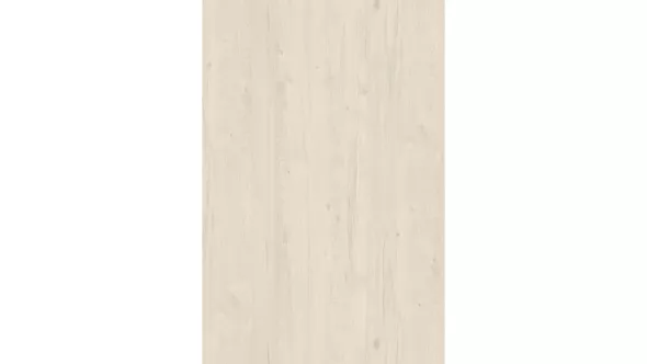 White Coastland Oak